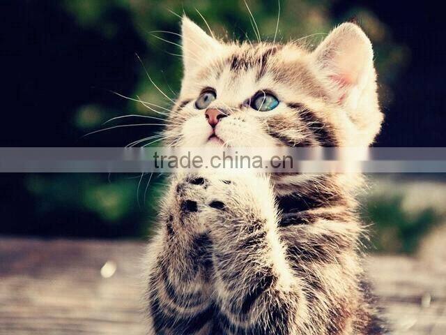 Bentonite Cat Litter Bulk Ball Shaped Pet Sand