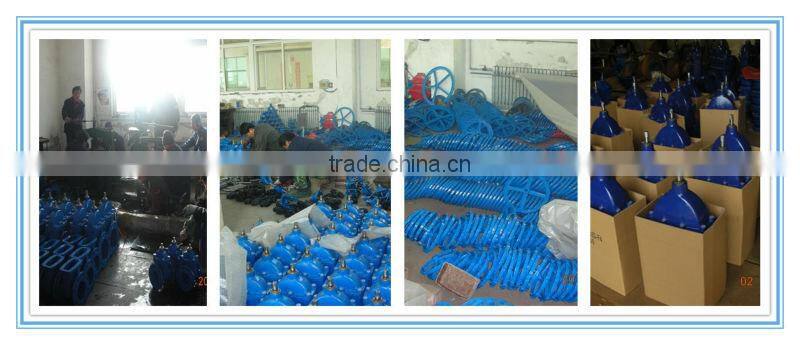6 inch cast iron resilient seated different type of gate valve