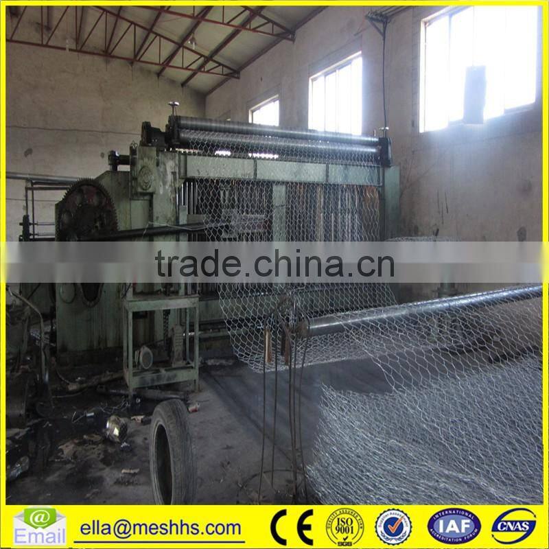 Professional Welded Gabion Box/Gabion Boxed