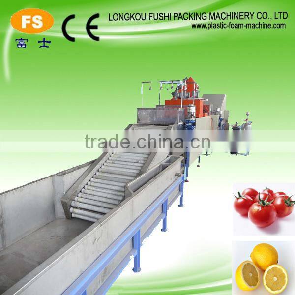 Pomelo Washing Grading Machine