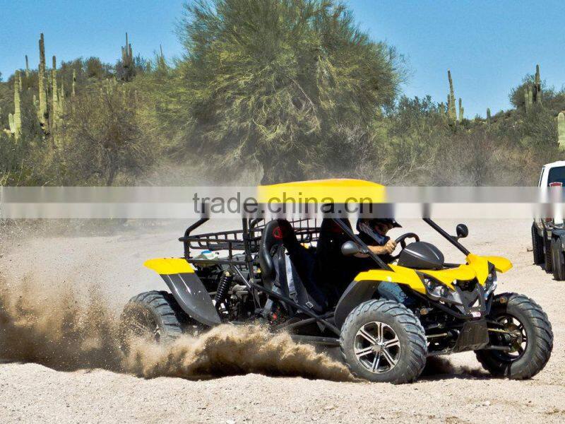 renli 1100cc desert cart from China