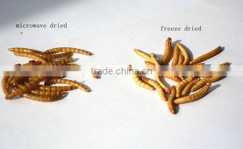Dried Mealworms For Reptiles Pet Food