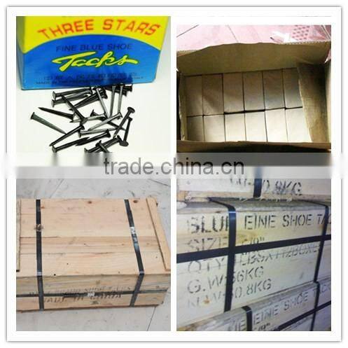 flat head shoe tacks nails/Cheap Shoe Tack Nails/ Linyi Nails