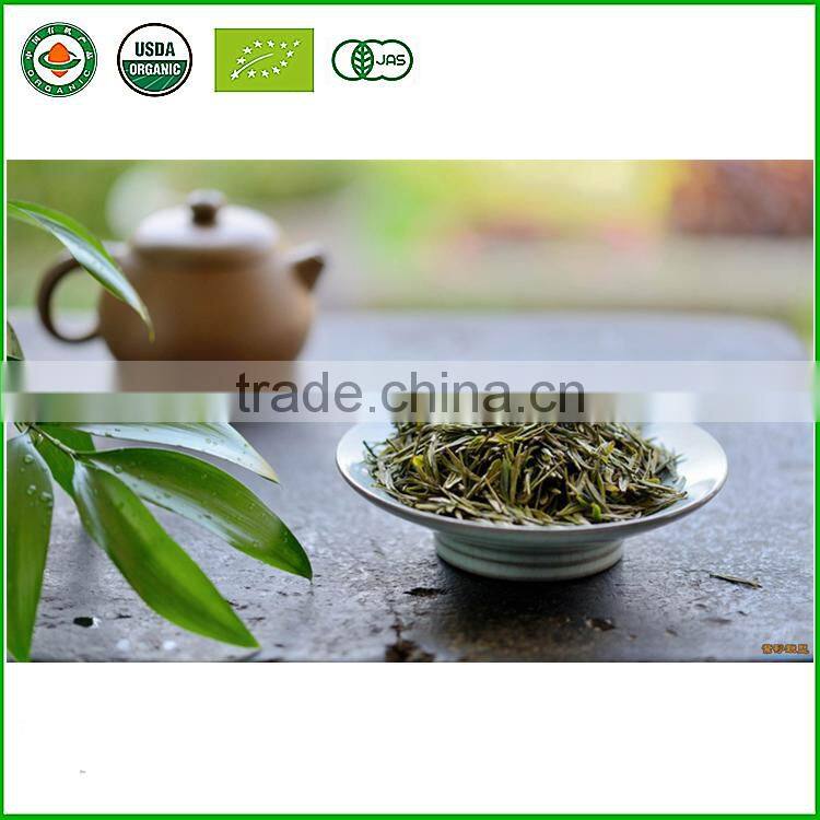 Long Leaf Factory Chinese Organic Green Tea Wholesale