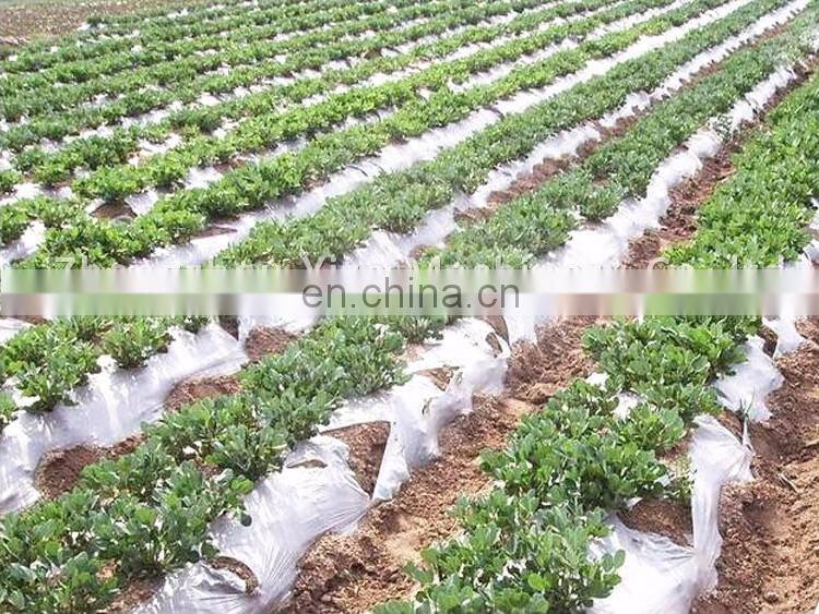 Agriculture Peanut Seed Seeder Planting Machine with Plastic Mulch Layering Applicaror Machine