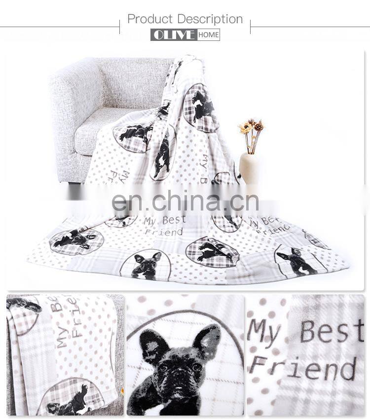 China summer soft 100% polyester printed throw cheap fleece blankets in bulk
