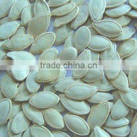 Organic Pumpkin kernel