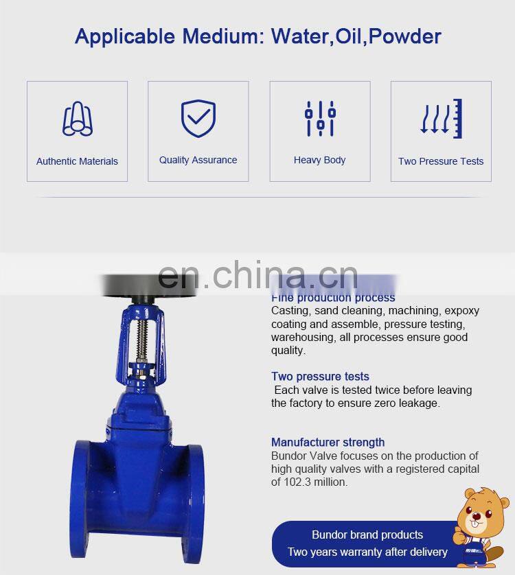Bundor 6 Inch 3 inch pn16 pn25 forged steel carbon steel rising stem Water Gate Valve Manual Slide Gate Valve