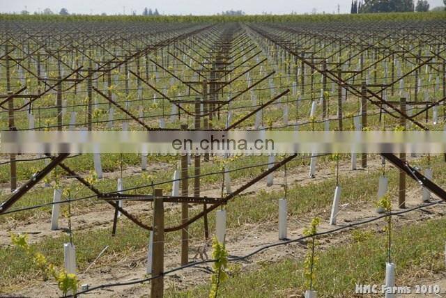 Chile Market Vine Open Gable Trellis Post
