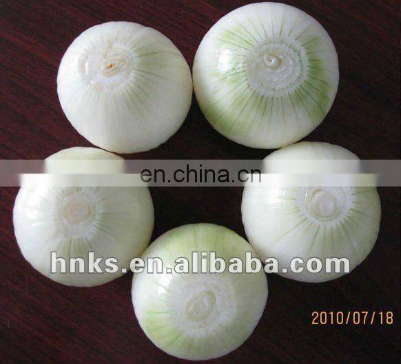 Automatic Onion Root Cutting and Peeling Machine