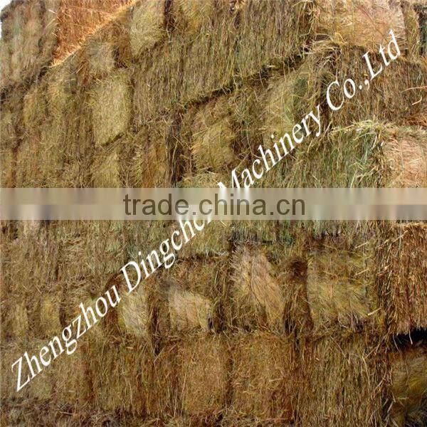 paper machine Conveyor