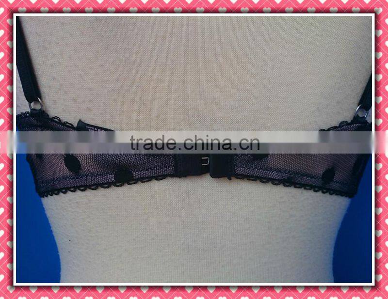 Sexy Lingerie, Sexy Apron