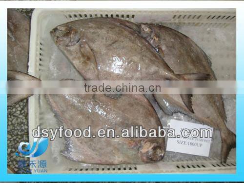 Frozen whole black pomfret fish