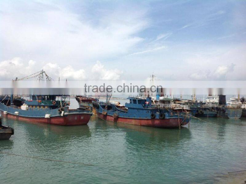 2016 Newly 16pcs/kg Light Seine Frozen Round Scad