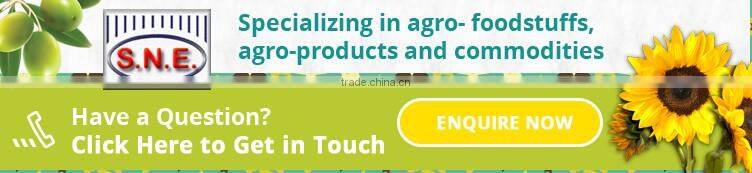 High Quality Walnuts with Shell and Without Shell at Cheap Rate