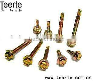All Kinds of Stainless Steel Screw