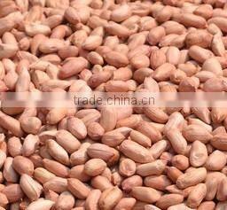 Hot Sale Wet Broad Bean Peeling Machines For Sale, High efficiency small garlic peeling machine