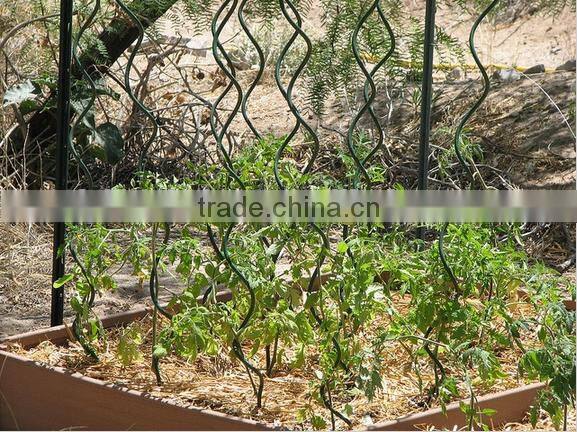 New design wire stick plant support