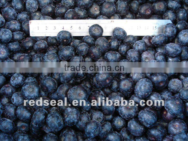 Frozen yellow peaches