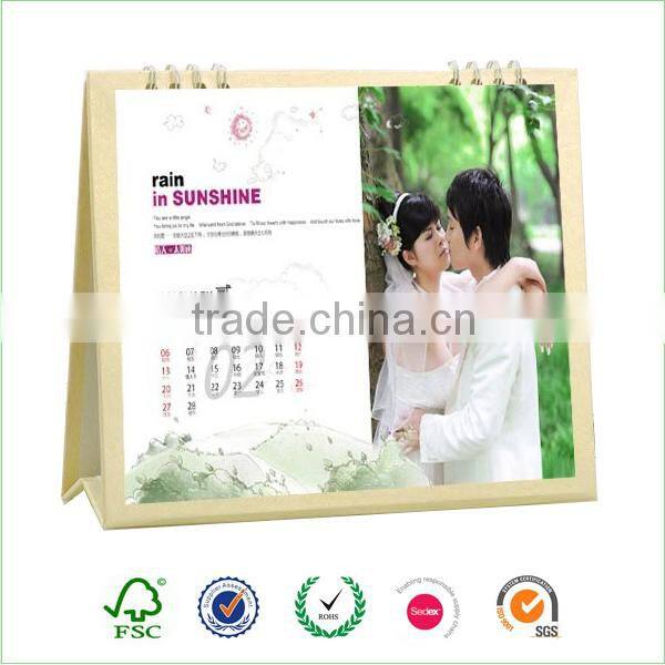 2017 standing funny desk calendar