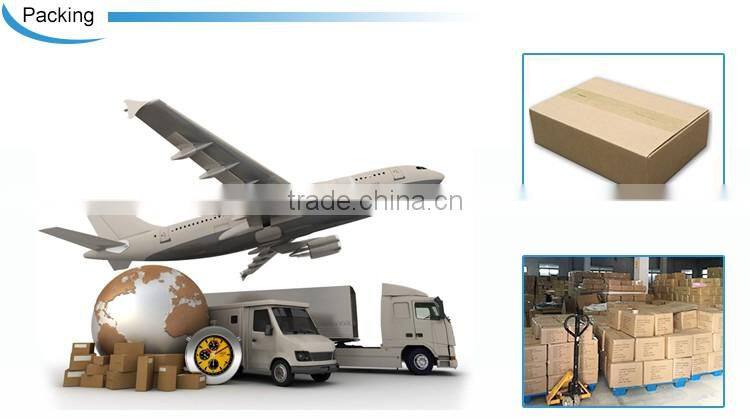 New design OEM acceptted Kids Bath PEVA Shower Curtain