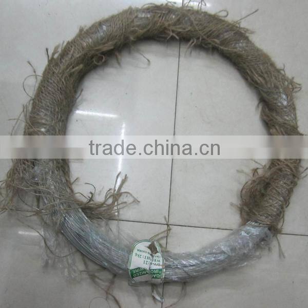 hot sale Electro galvanized iron wire bwg22