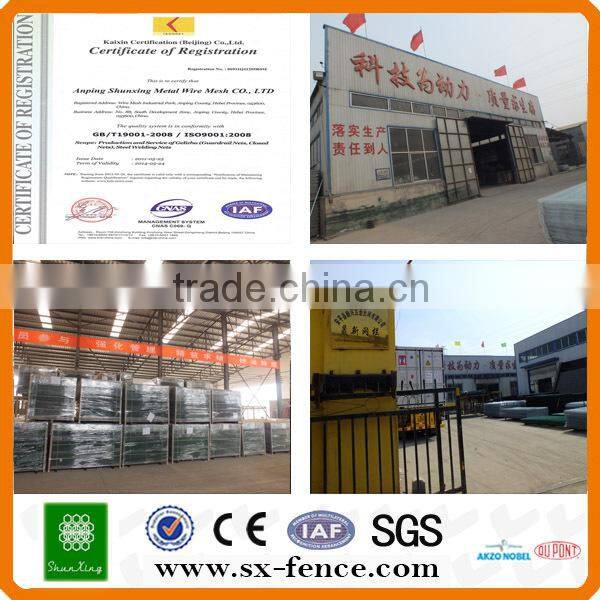Galvanizedpvc coated chicken wire poultry mesh(ISO9001:2008 professional manufacturer)