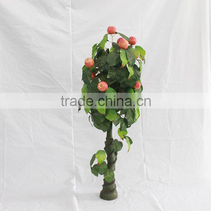 wholesale cheap apple fruit TREE