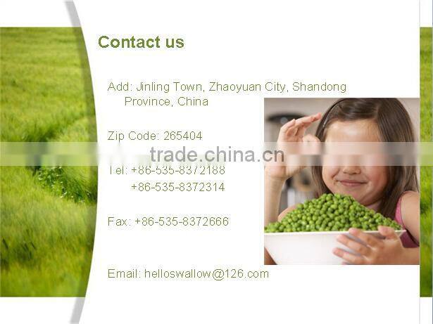 Pea Fiber 100mesh Food Grade 20KG/BAG with ISO22000 Pea Fiber