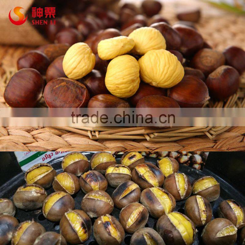 New Crop Chinese Bulk Chestnuts For Sale