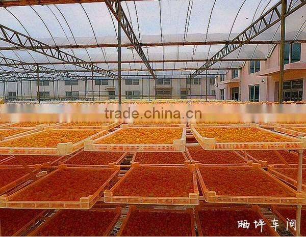 Best quality %100 Turkish Natural Having Seed Dried Sour Cherry Cherries