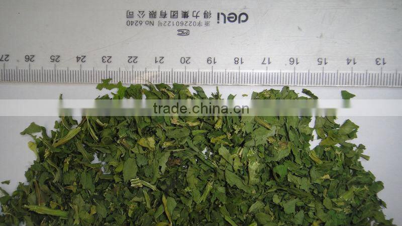 2014 dehydrated celery stalk