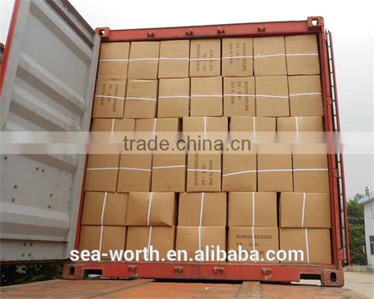 Manufaturer brown seaweed for soil