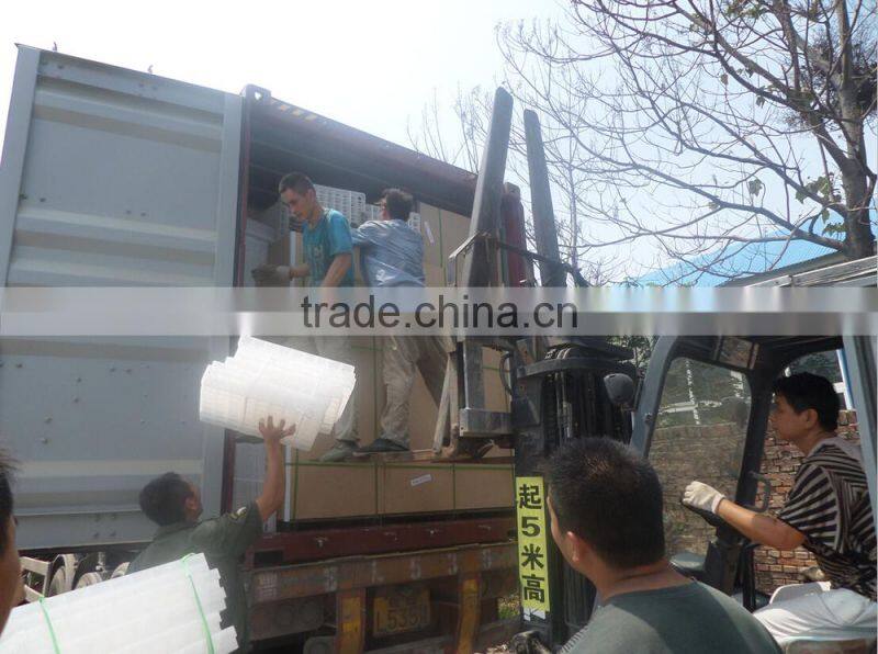 Factory Supply full automatic small 200 chicken egg incubator