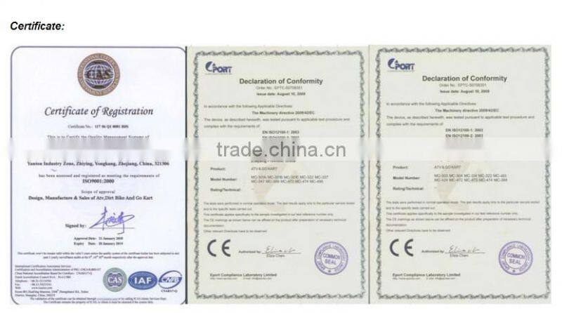 EEC 500CC UTV FOR SALE(MC-162)