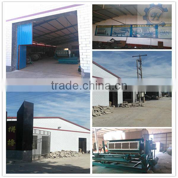 Google Quality Pulp Fruit Tray and Carton