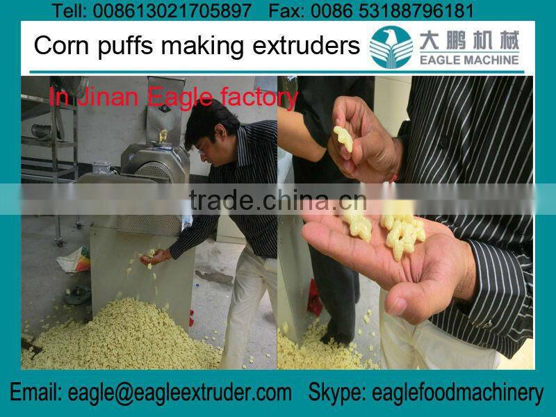 Jinan Eagle Puffed corn flour pop chips flower shape snacks food making production line