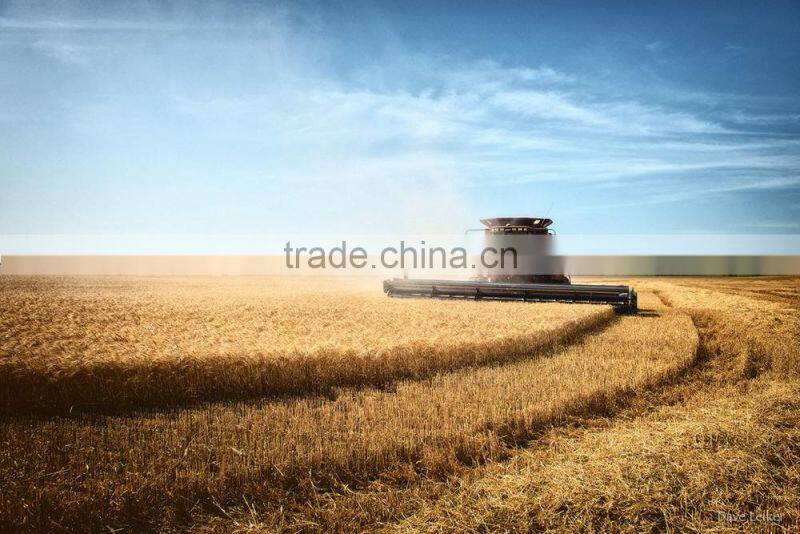 Hot Sale Marine stereo for wheat combine harvester