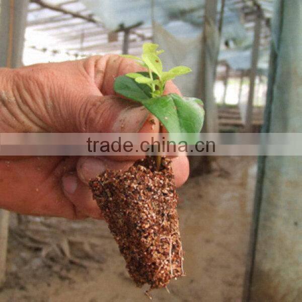 China supplier manufacture best quality low price seed tray