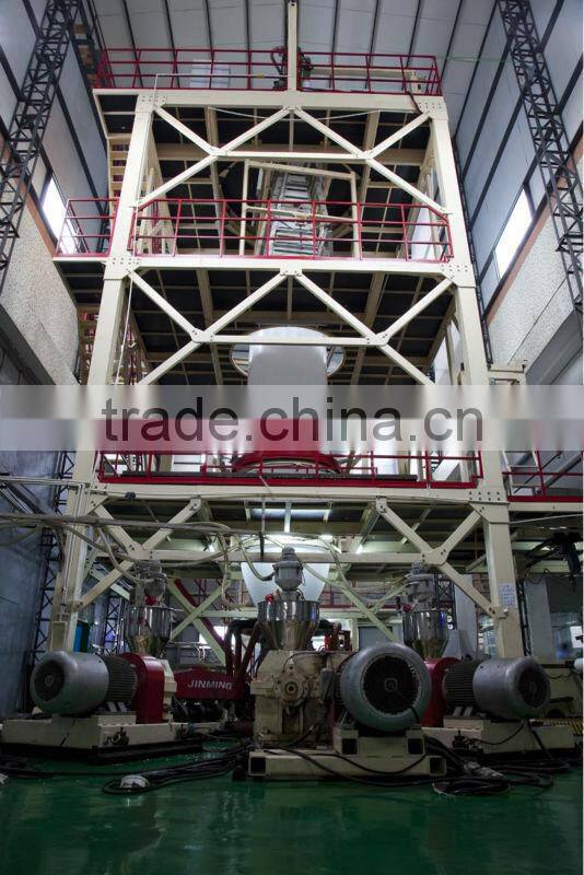 Big love! Fashionable Printed LDPE plastic bag