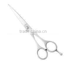 Professional hair cutting scissors