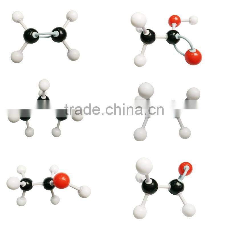 Student Chemistry Learning Molecular Model