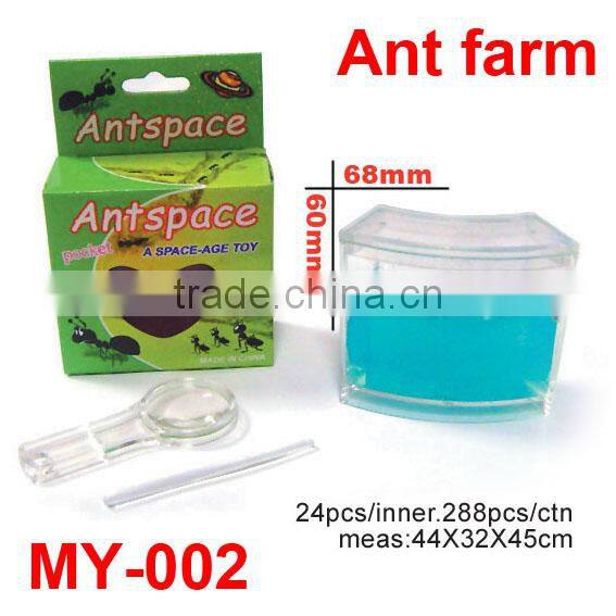 Colorful Plastic Ant Farm Toys