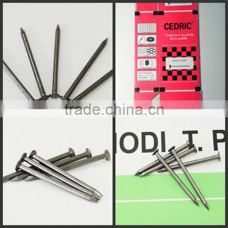 Kuwait market common wire nail