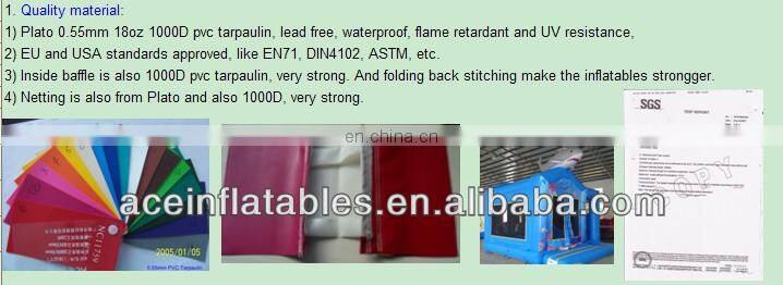 wet&dry shark inflatable combo