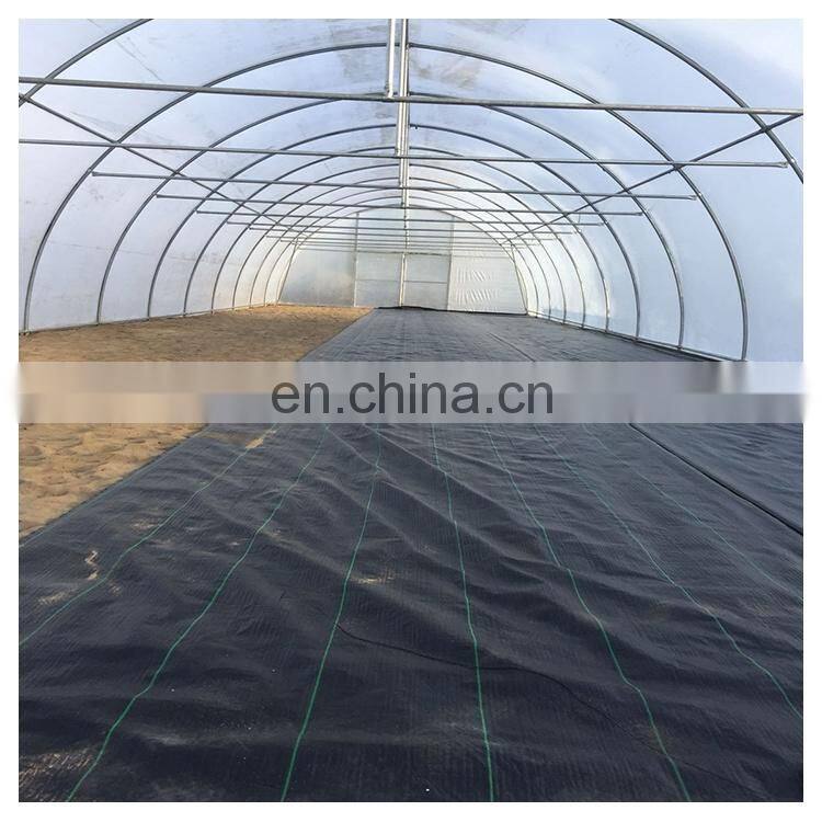 High quality cheap price agricultural indoor solar greenhouse frame with plastic sheet tent