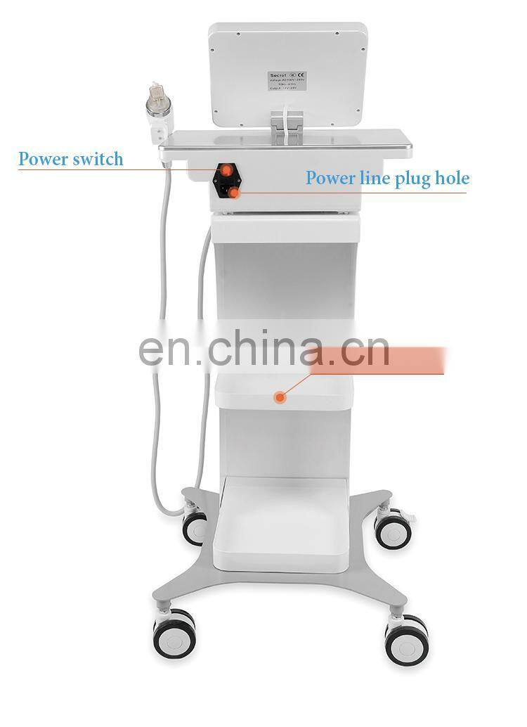 Portable microneedle skin rejuvenation machine/fractional rf micro needle for face and body