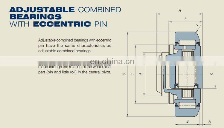 Adjustable combined bearings with eccentric pin 400-0458