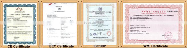 4wd utility vehicle, EG6020T, 48V/9.1KW