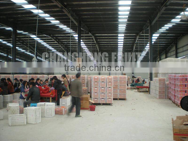 Yellow orange fruit/names of red fruits